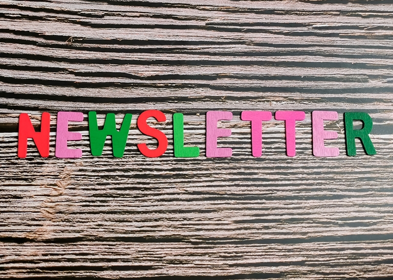 The word newletter placed on a tree bark background, each letter in one of four colors, red, pink, dark pink and green.