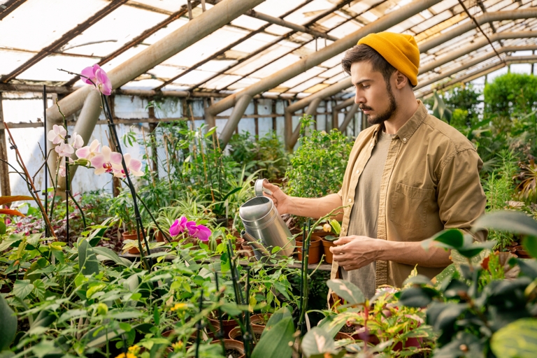 Drip irrigation system in field.
