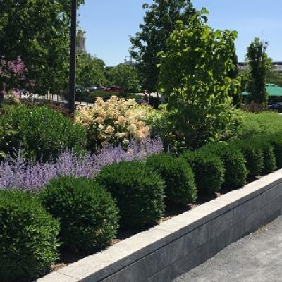 Copy Of Haymarket Copy