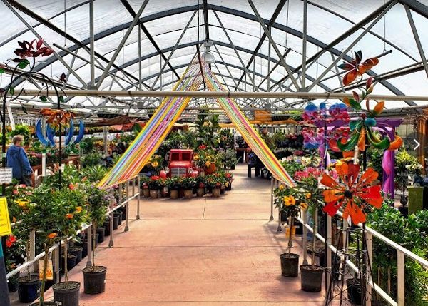 image of the walkway inside K&W Greenery surrounded  by various plants and products.