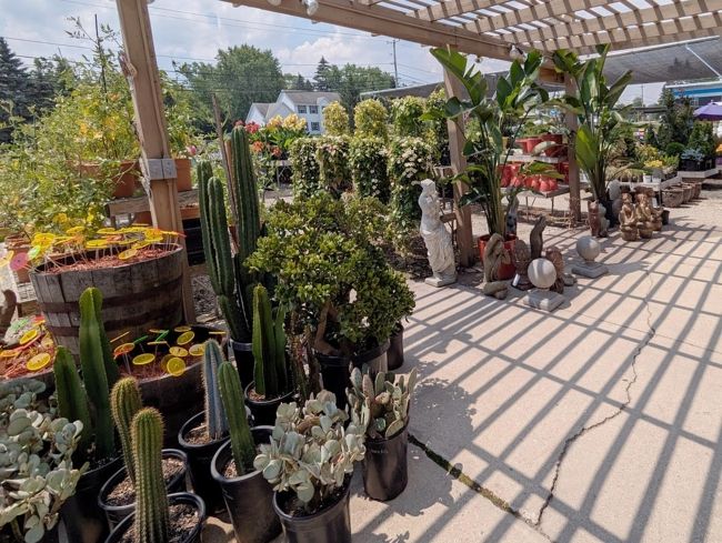 A variety of garden plants and statues outside the Bayside Garden Center.