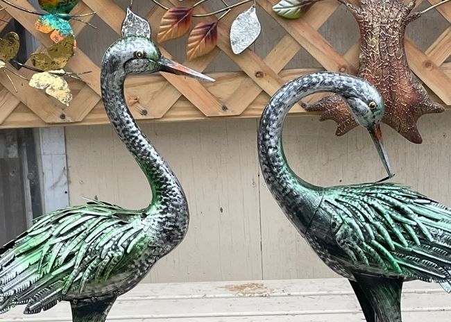 Bird statutes at Minor's.