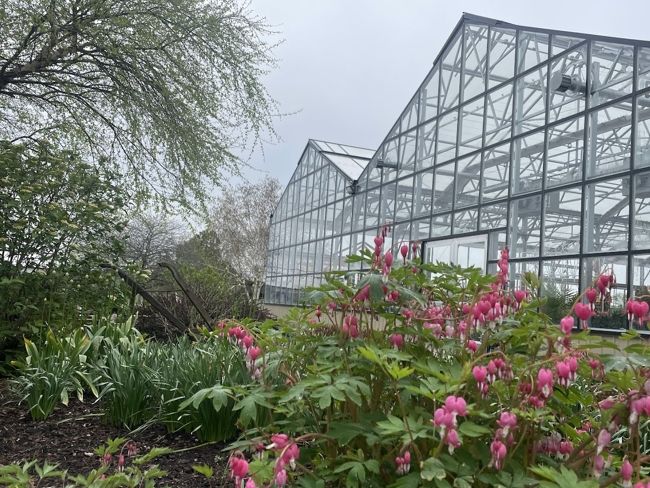 Image of greenhouse at Ebert's Greenhouse Village.
