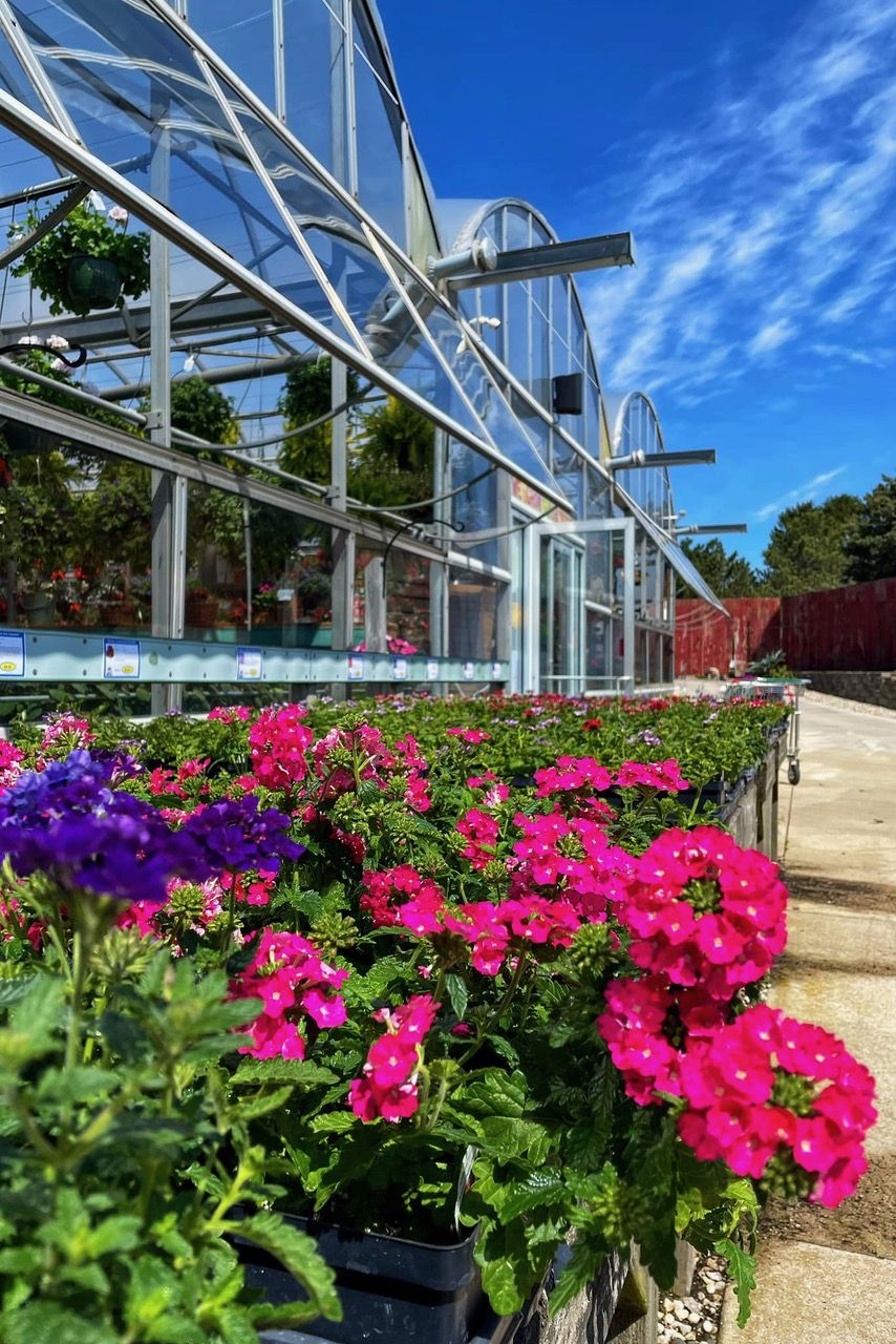 A variety of plants outside a green house at Ebert's Greenhouse Village.
