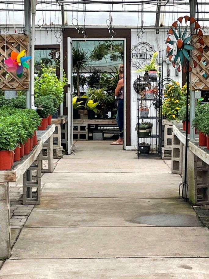 A variety of plants at Minor's.