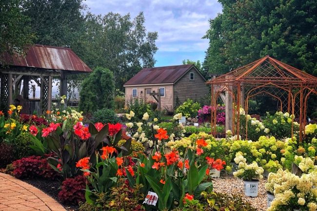 A variety of flowers outside Ebert's Greenhouse Village.