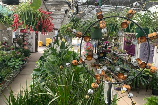 inside a greenhouse at Minor's.