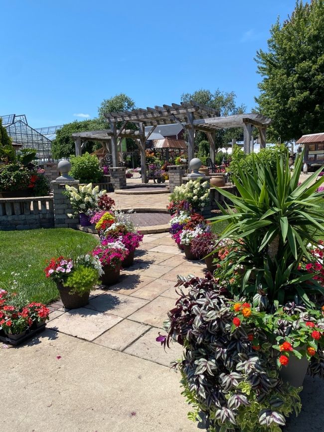 Walkway lined with flowers at Ebert's Greenhouse Village.