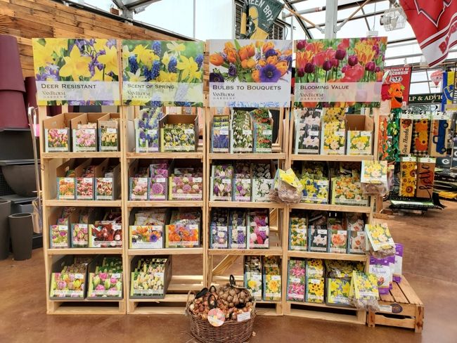 A variety of seeds being sole inside of K&W Greenery.